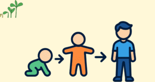 Child Development Stages: A Complete Guide for Parents and Educators