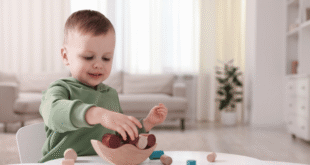 Gross and Fine Motor Skills in Child Development