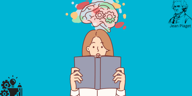 Jean Piaget’s Cognitive Development Theory