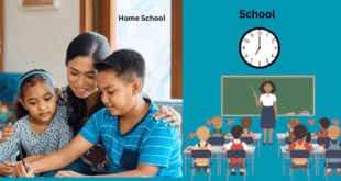 Homeschooling vs Traditional Schooling